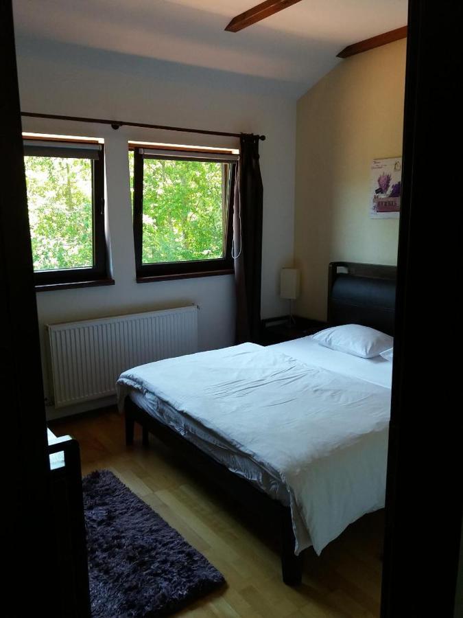 Relaxing Balcony Apartment Sinaia Eksteriør billede