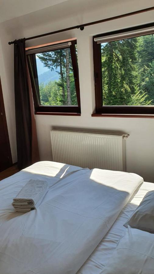 Relaxing Balcony Apartment Sinaia Eksteriør billede