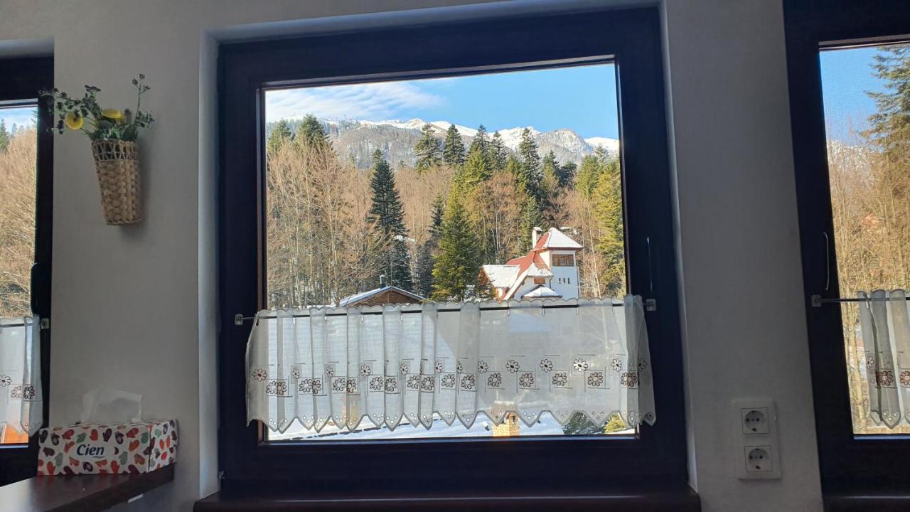 Relaxing Balcony Apartment Sinaia Eksteriør billede