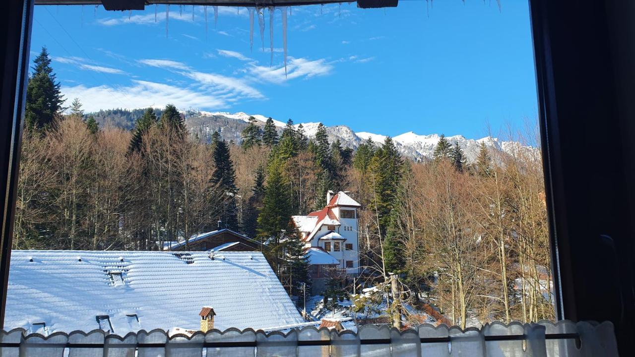 Relaxing Balcony Apartment Sinaia Eksteriør billede
