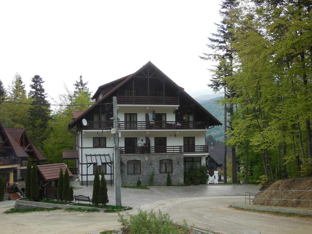 Relaxing Balcony Apartment Sinaia Eksteriør billede